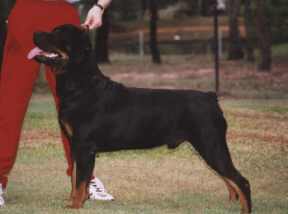 106.jpg (6505 bytes)