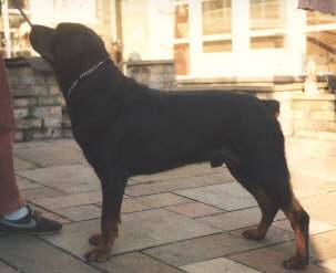 crescendo.jpg (9910 bytes)