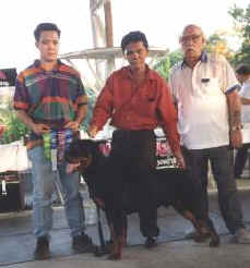 gambler.jpg (11954 bytes)