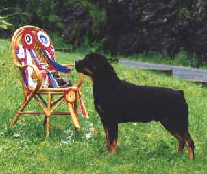 norwegen.jpg (19024 bytes)