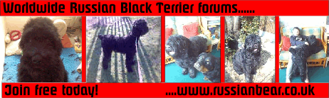 redbanner.gif (40347 bytes)